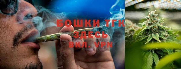 прущие грибы Абдулино