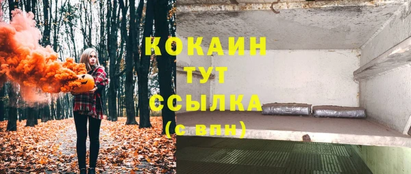 гашик Михайловка