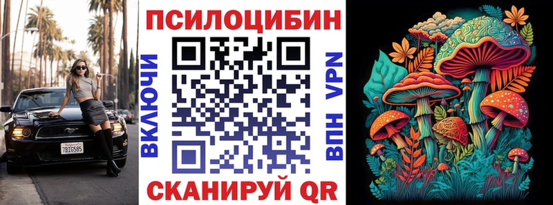 наркошоп  Щучье  Галлюциногенные грибы Cubensis 